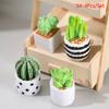 1Set 1:12 Dollhouse Miniature Succulent Plant Potted Cactu Landscape Home Decor