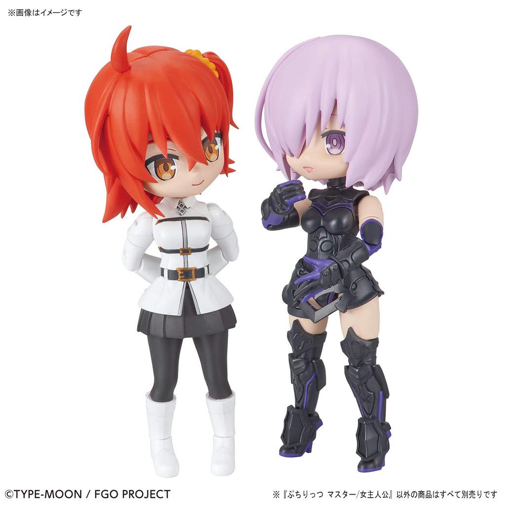 Petitrits Заказ Протагонист Пластиковая Модель Fate/Grand Master/Женский Цветной