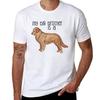 My Big Brother Golden Retriever Tshirt Lightweight Running Sports Tshirt