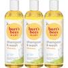 Burt's Bees Baby Bee Shampoo & Wash 12 Fluid Ounces (Pack of 3)