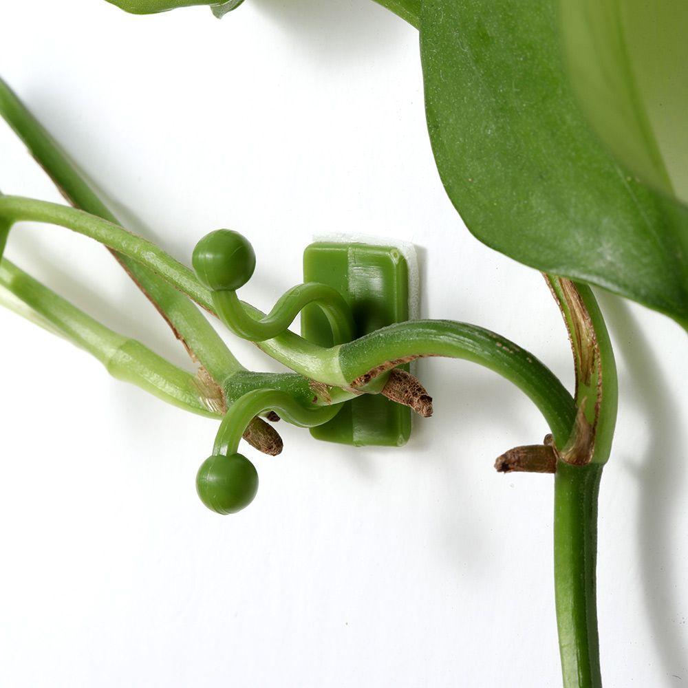 10PCS Invisible Plants Holder Greenhouse Bracket Wall Sticky Hook Plant Clip Rattan Clamp Wall Vines