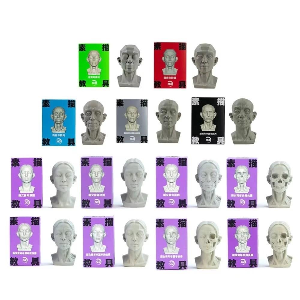 Натюрморт Орнамент Плоская Модель Головы Смола Эскиз Живопись Скульптура для Начинающих Художников