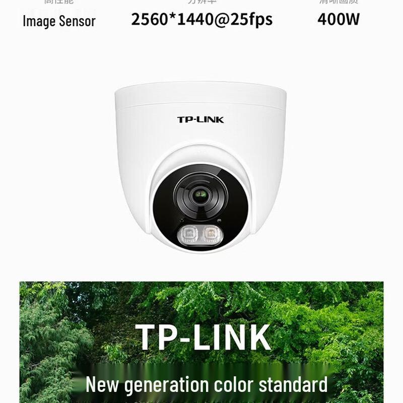 TP-LINK 4MP PoE Dome IP Camera with AI Human Detection CN plug (adapter included)