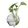 Transparent Borosilicate Heat-Resistant Glass Ball Shaped Micro Landscape Bottle Container