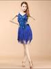 Women Latin Dance Dress Tassels Dress Cocktail Costume  1920s Flapper Dress
