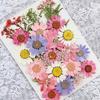Real Pressed Flowers Dried Pressed Flowers Dry Leaves Bulk Natural Herbs Kit for Scrapbooking DIY Art Crafts Epoxy Jewelry Molds Soap Making
