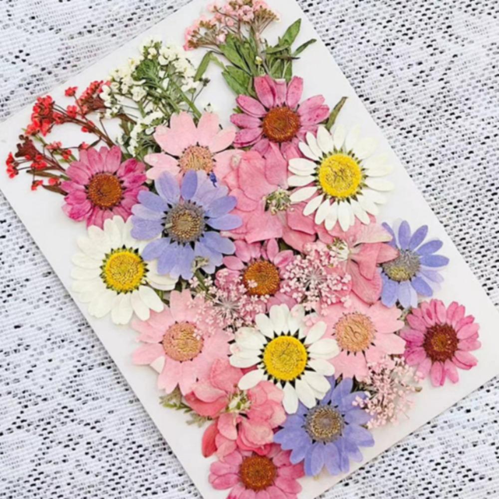 Natural Herbs Kit Dried Pressed Flowers Real Pressed Flowers Dry Leaves Bulk for Scrapbooking DIY Art Crafts Epoxy Jewelry Molds Soap Making