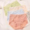 Boxed Mulberry Silk Antibacterial Crotch Women's Underwear Medium High Waist Tight Underwear Lace Traceless Triangle Pants