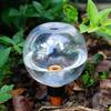 2pcs Tranaparent Self Watering Plant Watering Bulbs Flower Pot Seepage Water Globes  The Lazy