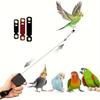 Parrot Training Leash Set Anti Escape Adjustable Harness For Cockatiels Parakeets Macaws Safe Outdoor Flight Gear