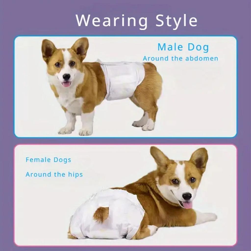 Мягкие одноразовые подгузники для собак - Подгузники для собак-самок и кобелей Супервпитывающие подгузники для щенков Непромокаемые подгузники Трусы Шорты для щенков