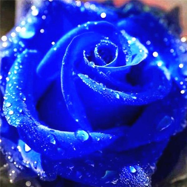 Алмазная вышивка Цветы Алмазная картина ручной работы Роза Изображение Стразы