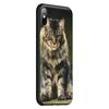 Чехол T145 с изображением кота мейн-куна для iPhone 13 12 Mini 11 Pro XS Max XR X 8 7 6 6S Plus 5 5S SE 2020