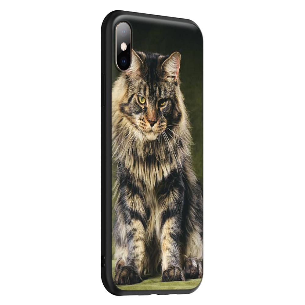 Чехол T145 с изображением кота мейн-куна для iPhone 13 12 Mini 11 Pro XS Max XR X 8 7 6 6S Plus 5 5S SE 2020