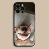 Смешной Чехол для Телефона с Собакой Бультерьер для iPhone 17,16,15,14,13,12,Pro,Max,Plus,E,SE4,Air,Mini Черный Мягкий Чехол