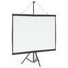 Projection Screen with Stand 50 inch 4:3 Aspect Ratio