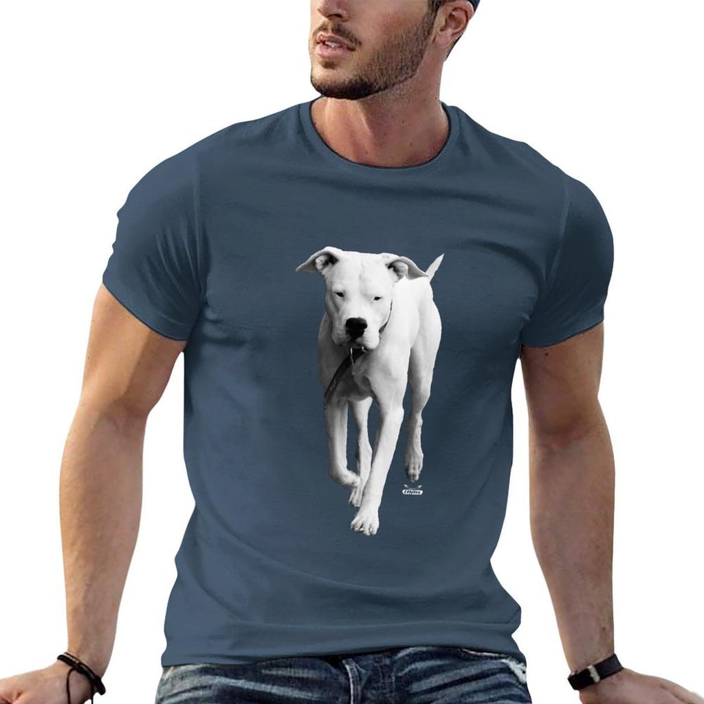 Dogo Argentino Swiss Artwork Photography Tshirt Unisex T Shirts Graphic T Shirts For Unisex Pack White Tshirt