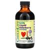 ChildLife Essentials Organic Liquid Elderberry, Ages 1+, 4 Fl Oz (118 Ml)