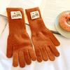 Winter Knitted Touchscreen Gloves Adults Long Wrist Warm Windproof Cycling Commuting Unisex