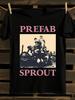 1 шт. Готовая футболка с логотипом и текстами песен группы Prefab Sprout