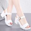 High Heels Gladiator Sandals Woman Open Head Sexy Block Heel Platform Shoes Summer Buckle Size Women Sandals