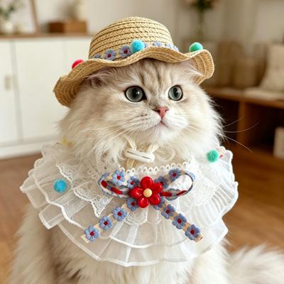 1 Набор Милый Цветочный Кошачий Наряд Соломенная Шляпа от Солнца и Кружевная Рюшами Кошачья Бандана