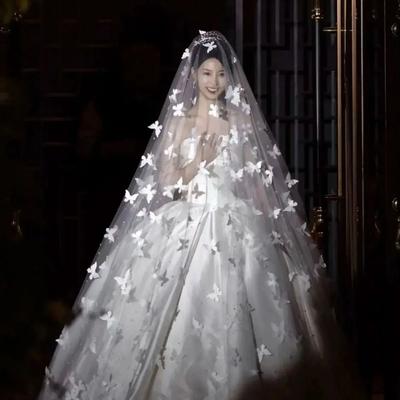 Однослойная белая свадебная фата с бабочками, мягкая фатиновая сетка с бабочками для головы, женская