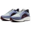 Nike Air Zoom Winflo 11 GORE-TEX 'Light Pumice/Ashen Slate' FQ1358-003