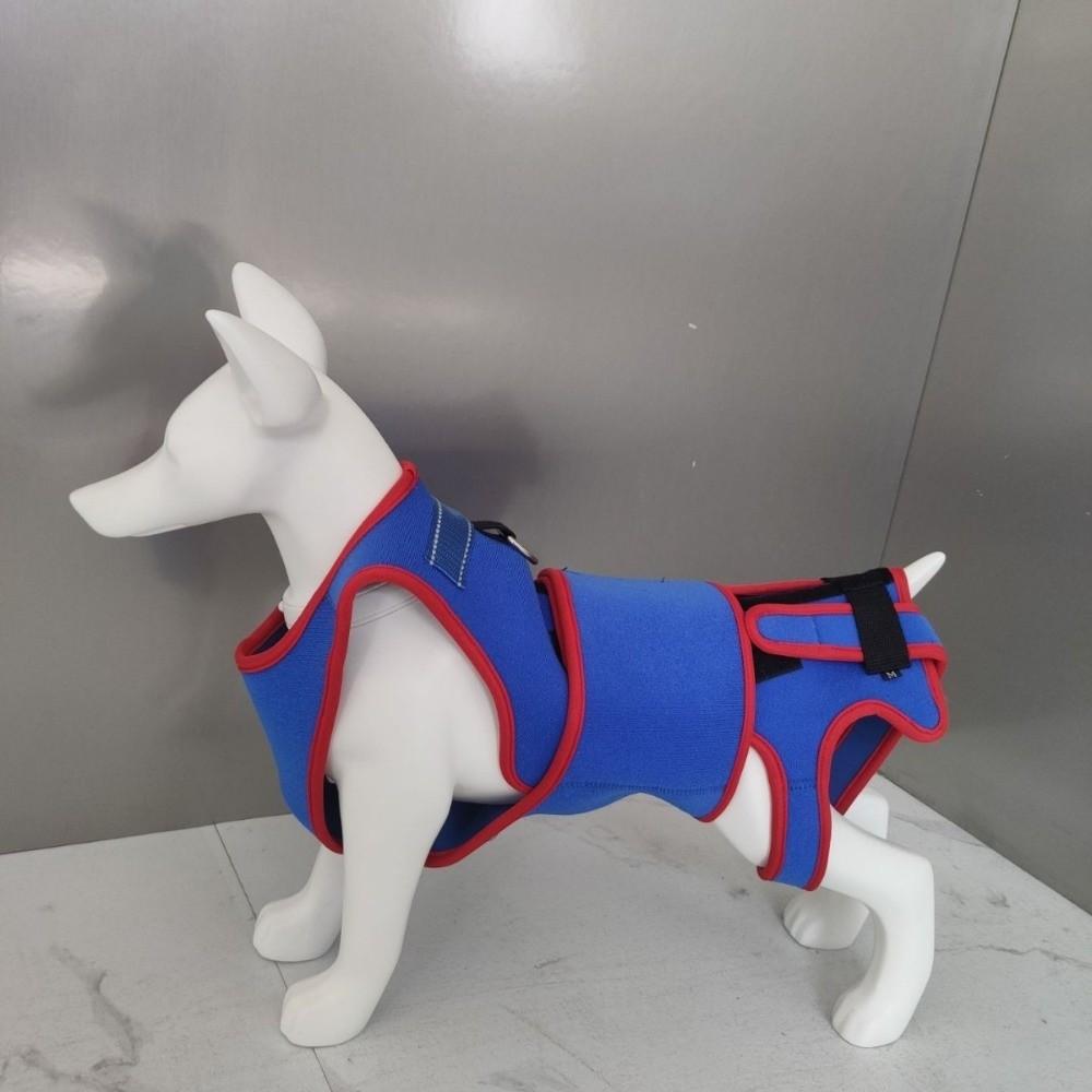 Adjustable Dog Back Brace Breathable Dog Spinal Support Suit Practical Pet Spine Leash Indoor
