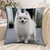 1pc Pillowcase, Cute White Pomeranian Decorative Cushion Cover, Soft And Comfortable Polyester Short Plush Fabric, Single-Sided Printing, Multi-Size S
