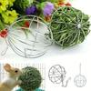 Fashion Rabbit Grass Feeder Ball - Stainless Steel Holder for Small Pets Easy Feeding Tool Healthy Digestion