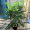 Large Artificial Palm Tree Tropical Plants Fake Palm Leaves Creative Artificial Fern Home