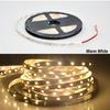DC 12V LED Strip Light 2835 SMD 5M String Lamp Ribbon Tape Roll For Outdoor Lighting