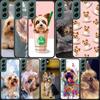 Yorkshire Terrier Dog Phone Case For Samsung Galaxy Note 20 Ultra 10 Lite 9 8 M11 M12 M21 M30S M31 M32 M51 M52 J8 J6 J4 Plus A90