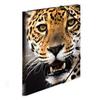 Herma Elasticated PP Folder A4 Animals (Leopard)