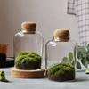 Микроландшафт Мох Мохообразные Стеклянная Бутылка с Пробковой Крышкой Экосистема Растение Ваза Контейнер Домашний Офисный Настольный Декор