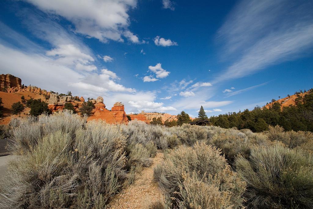 TAMRON Super Wide Angle Zoom Lens SP DiII for Canon Only B001E AF10-24mm F3.5-4.5 APS-C