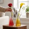 Handmade Hydroponic Glass Vase Transparent Flower Arrangement Vase Flower Holder  Living Room