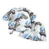 Cartoon Dinosaur Summer Boys Toddler Twopiece Set With Short Sleeve Top And Shorts