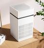 Indoor Air Purifier: Eliminates Smoke, Formaldehyde, Odors, and Adds Negative Ions