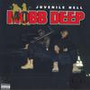LP Record MOBB DEEP - Juvenile Hell B002834801 ISLAND 2018 US Rap & Hip-Hop/R&B
