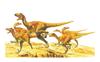 Tamiya Dinosaur World Series 05 Velociraptor Plastic Model Kit 60105 1/35 No. 6-Piece