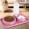 Detachable Automatic Pet Cat Feeder Stainless Steel 2in1 Pet Food Dispenser Pet Supplies
