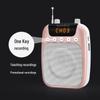 Ten Degrees S358 Little Bee Bluetooth Wireless Microphone & Speaker for Teachers & Tour Guides