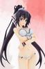 IS 2 Houki Shinonono масштабная ПВХ окрашенная готовая фигурка [Infinite Stratos] 1/7
