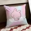 Asamimichaan Asleep Cushion Cover Reversible Soft Durable Pillow Cover Home  Car MultiScene Use for Daily Comfort