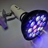 12W 15W 36W 45W LED Fish Tank Light Spectrum LED Aquarium Light Full PAR38 Aquatic Grass Breeding Supplementary Lamp