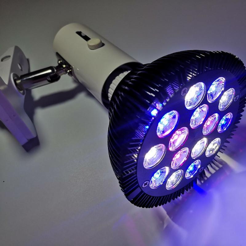 12W 15W 36W 45W LED Fish Tank Light Spectrum LED Aquarium Light Full PAR38 Aquatic Grass Breeding Supplementary Lamp