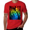 Blackbird - Rainbow Edition T-Shirt plus size tops anime tshirt oversized graphic tee tshirts for men