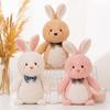 Rabbit Plush Toy Room Decor Cute Cartoon Bunny Doll Soft Animal Toy Rabbit Plush Toy Girl Gift Toy for Kids